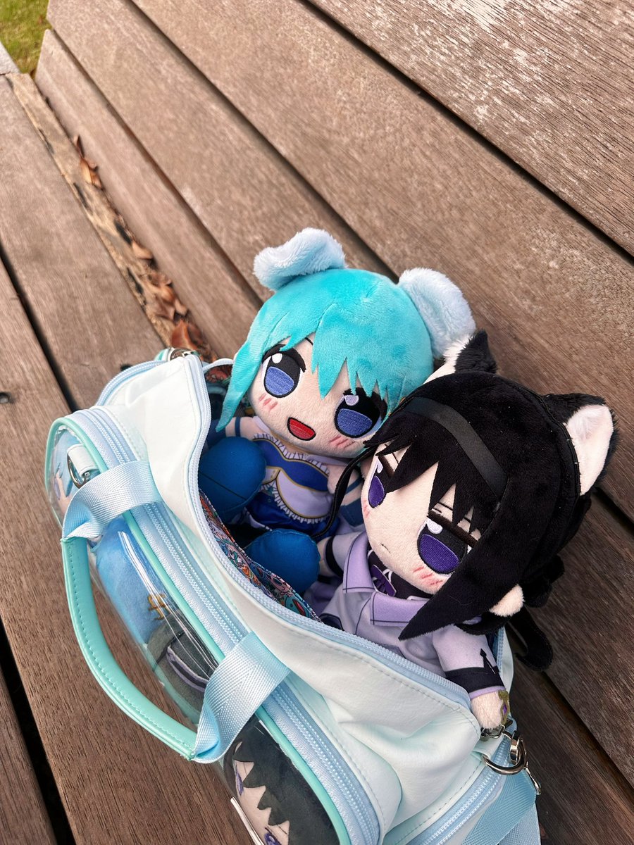 gemini_975's tweet photo. 猫猫狗狗 https://t.co/HexUo1ijr3