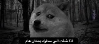 imsh_'s tweet photo. @_Ghawth_ المعنى الحقيقي لنظراتهم https://t.co/HzMxOkQRHE