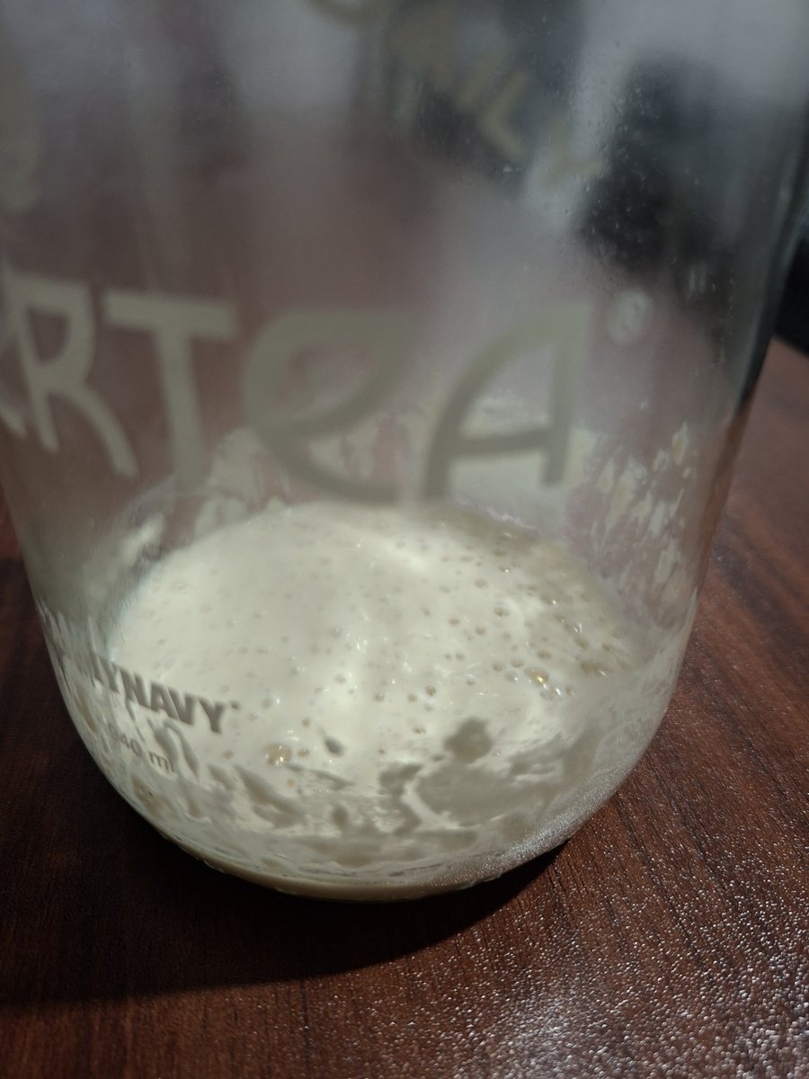 LunarHopia's tweet photo. before feeding him on the third day!!!! Bailey seems to be doing well

mom was complaining abt the smell but to me it genuinely just smells like sourdough bread https://t.co/P09XYc1Iny