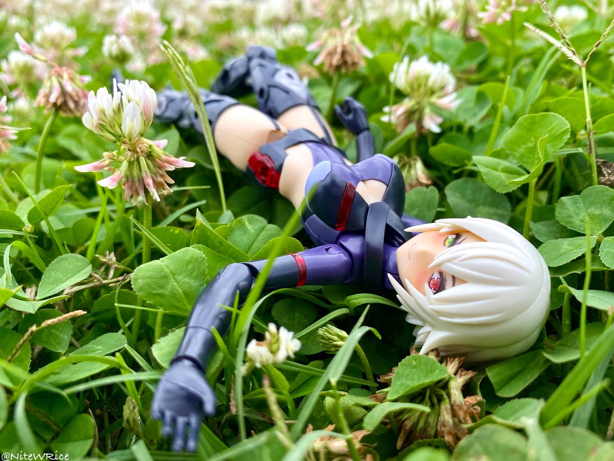 NiteWRice's tweet photo. #ベストショット選手権
#メガミデバイス

I think this is one of the best photos I have ever taken

これは、私が今まで撮った写真の中でも最高の1枚だと思います。 https://t.co/4tFEeEYEUo