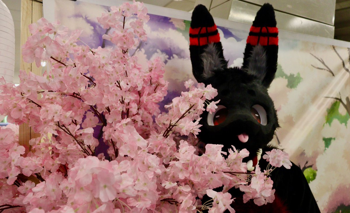 FinnTheBnnuy's tweet photo. silly bunny at #kamoconneo :p ( the last photo scaring me ) https://t.co/GjbnhptUK3