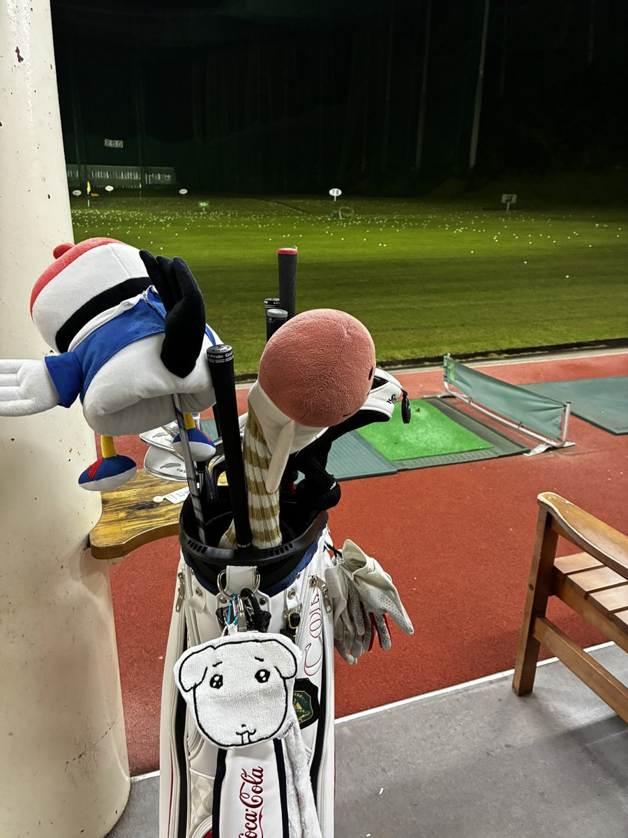 Soi_DG95's tweet photo. 出張前に練習⛳️
こっち見つめてくるガナディ🐶 https://t.co/rFA5W32KQm