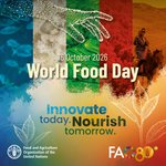 Photo by WFP 世界食糧計画日本事務所 (@WFP_JP)