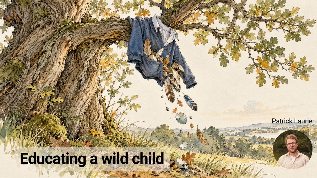 scribehound's tweet photo. 🌿 Are we making childhood too sanitised?

@Gallowaygrouse reflects on raising a wild, curious child - &amp; asks whether muddy adventures, risky explorations and a fascination with nature are things to encourage rather than correct.

👉 Read more on https://t.co/0TyykCZTcC https://t.co/gWRjE37lMM