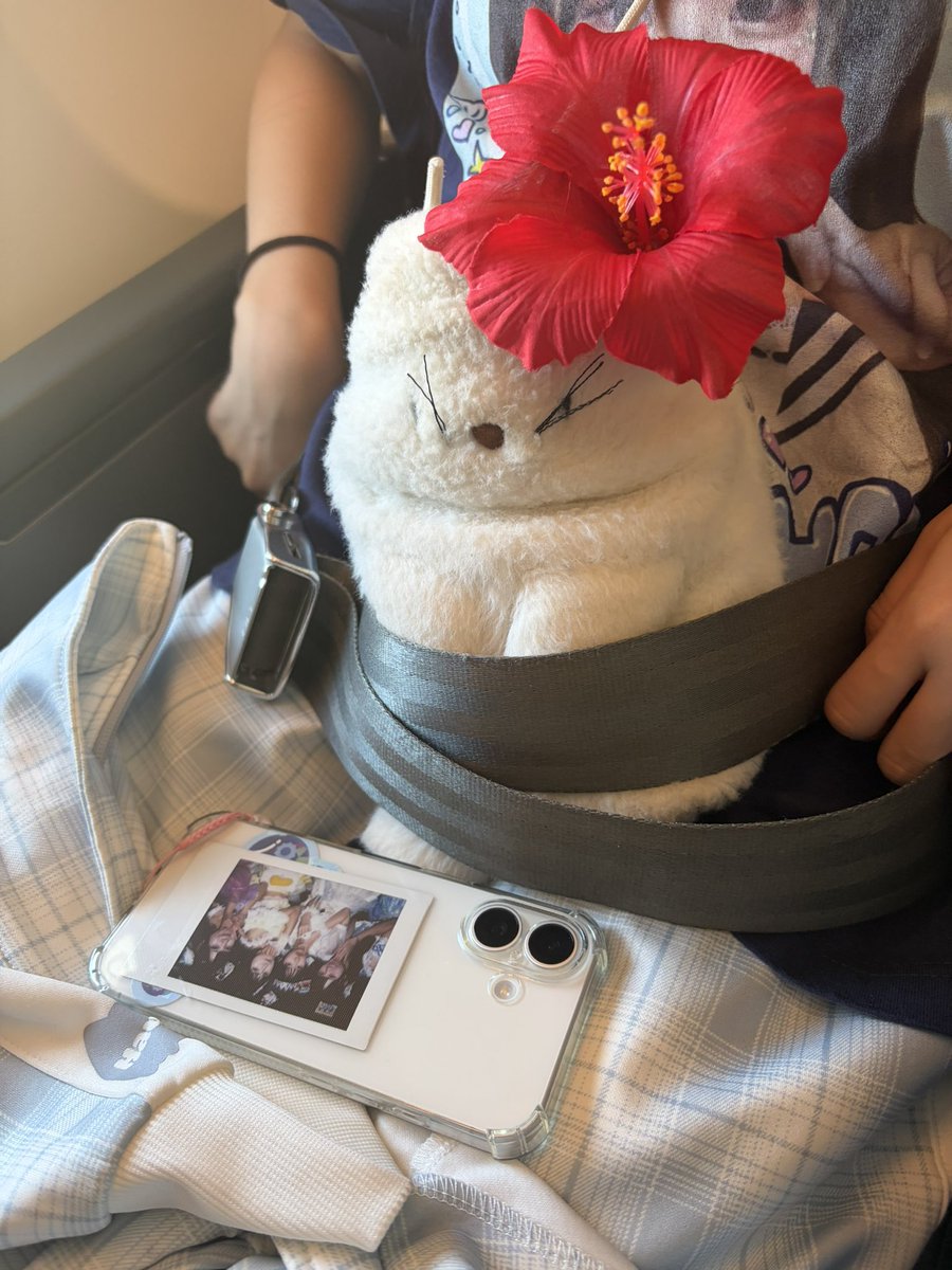 CNfZfWGhZCZxIWV's tweet photo. 飛行機のってシートベルトしめて横見たら、オコジョにまでシートベルトしててめっちゃワロタwwしかもオコジョwith沖縄バージョン🌺と自分の顔のTシャツは強すぎ笑 https://t.co/aaxNGvCHXR
