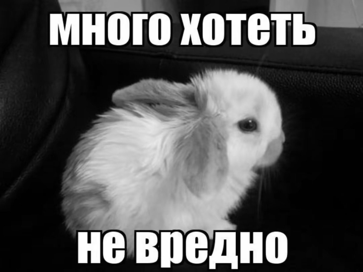lulcgm's tweet photo. Дали ложную надежду, что над нами, бедными работягами, смилуются и отпустят домой, т.к последних уроков у нас нет. (Учителя куда-то уехали) НО НЕТ ЖЕ. С нами сидит какой-то девятиклассник ☠️☠️ хочу домой. https://t.co/226nGH9qXO