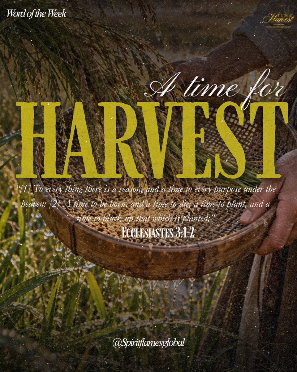 spirit_flamesgl's tweet photo. Word of the Week | A time for Harvest

Central Scripture: Ecclesiastes 3:1-2 

Welcome to a brand new week!

#Spiritflamesglobal #Goodnewsnation #fyp #church #Wearemorethanconquerors #Motivational https://t.co/w55Fnscbcf