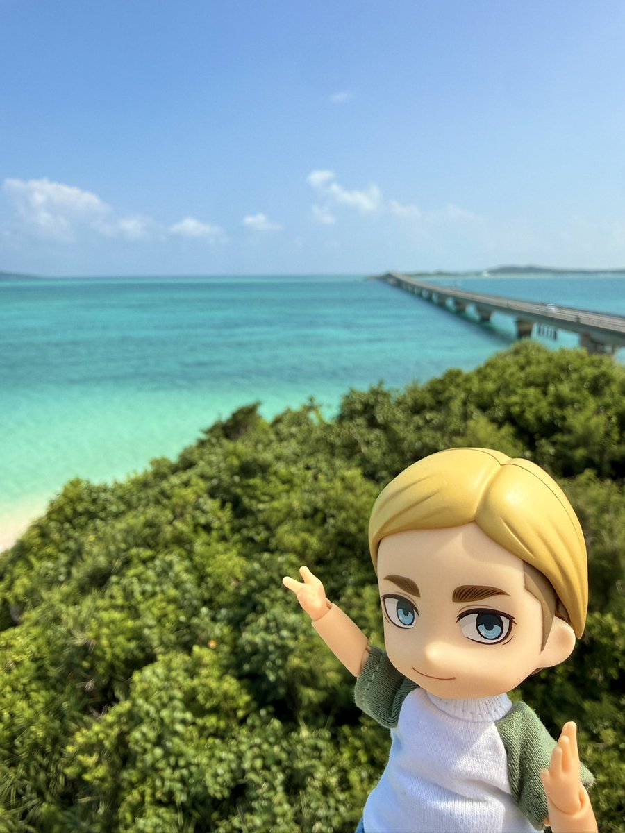 Ninomiiichan's tweet photo. 団長の休み📍宮古島
#エルヴィン https://t.co/ITDwLzrXsE