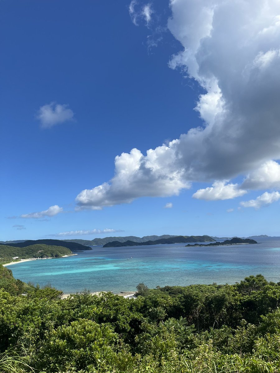 maruoki2's tweet photo. 座間味島最高だった〜✨
行きたい所周りきれず。日帰りだと時間足りなかった。

ランチは出川哲朗が何かの番組で絶賛していた和山海雲のもずくそば。
ちょい甘めのつけダレが美味しかった😋

こういう離島にフラっと行けるの、沖縄住んでほんと良かったと思う☺️

#沖縄移住
#沖縄生活 https://t.co/ZOx7PlPHLD