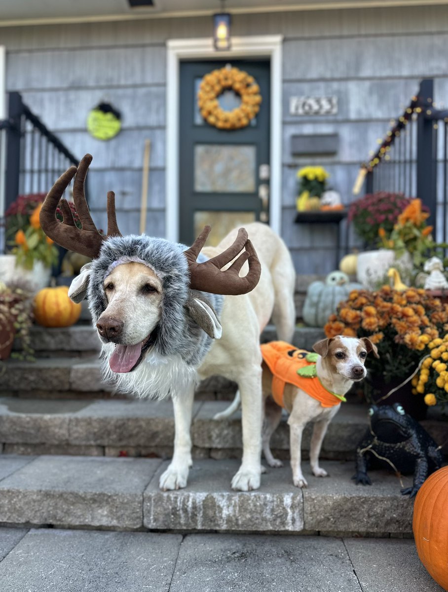 canucky675's tweet photo. @BlacksWeather It was a perfect day for an autumn photo shoot as well 🎃! https://t.co/EUMAuf9W6o