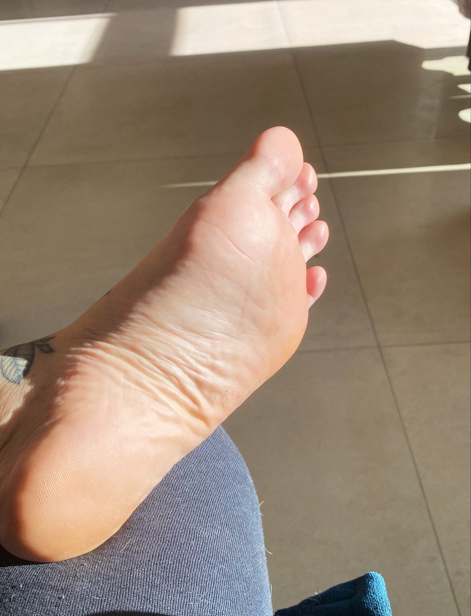 msjojo_45's tweet photo. O sol já sabe onde deve brilhar logo pela manhã. ☀️✨

Quem é o primeiro a dar o bom dia e mostrar que merece a minha atenção hoje? https://t.co/D4Vtt5gXif