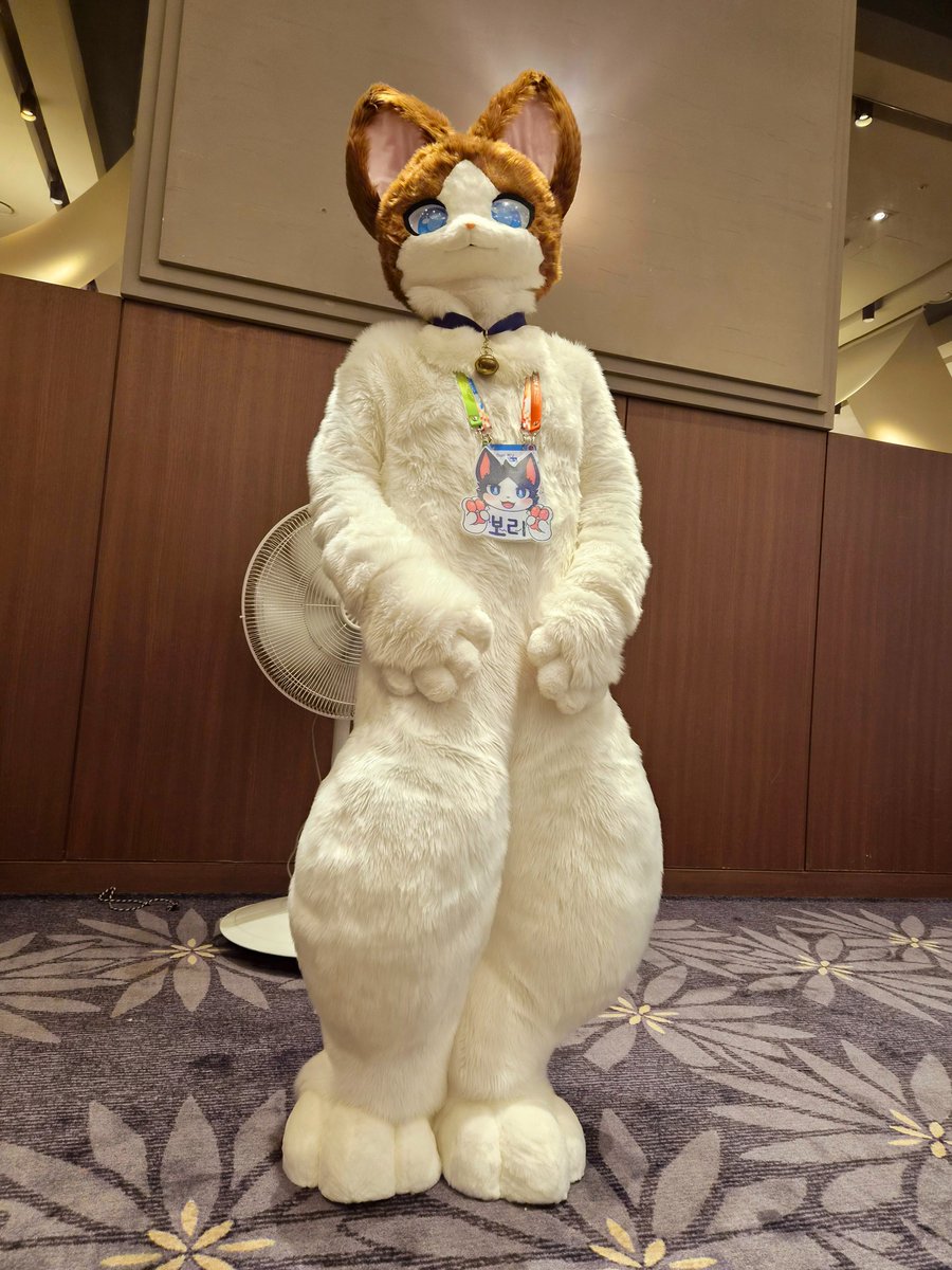 Digicam_bori's tweet photo. #Fursuit
#Fursuiteverday 
#Fursuiteveryday
#Fursuitseveryday
#着ぐるみ 
#보리보리쌀
#Furraid 
#Furraid2026
#퍼레이드2026 https://t.co/F7PwWV1o2f