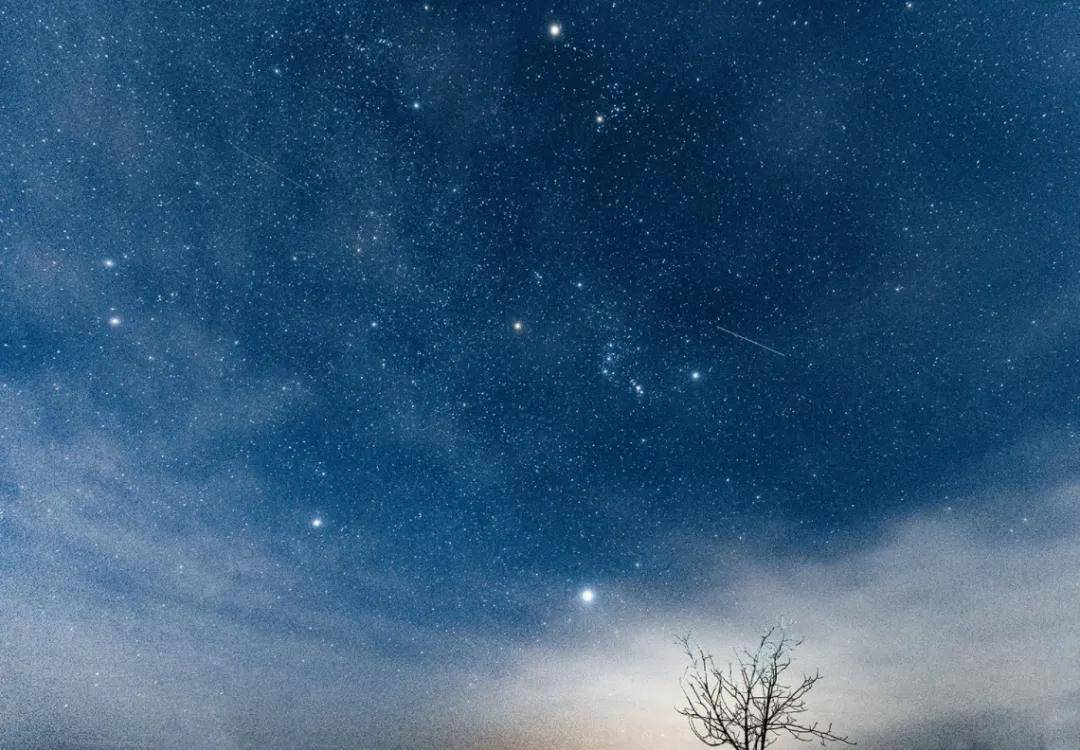 ViVi_kogiku's tweet photo. [夜の空に浮かぶ惺（せい）の光、まるで天上に谪（ちゃく）された星のように、心に优しく语りかけてくる]， https://t.co/SucYgX6XOj