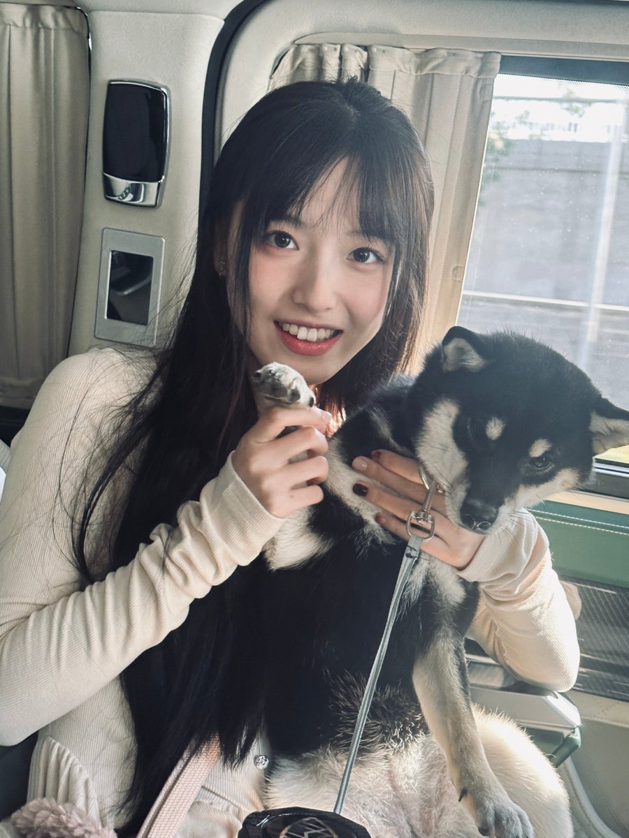 AudreyKing1235's tweet photo. Happiness comes with this cutie #doglover #tripdiary https://t.co/6jieTgQNZ8