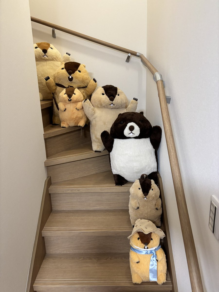 ksanha2026's tweet photo. 間違い探し🔍

#マーモットのもっとっと
#マーモットのもっとっと広場 https://t.co/didgUlQuLU