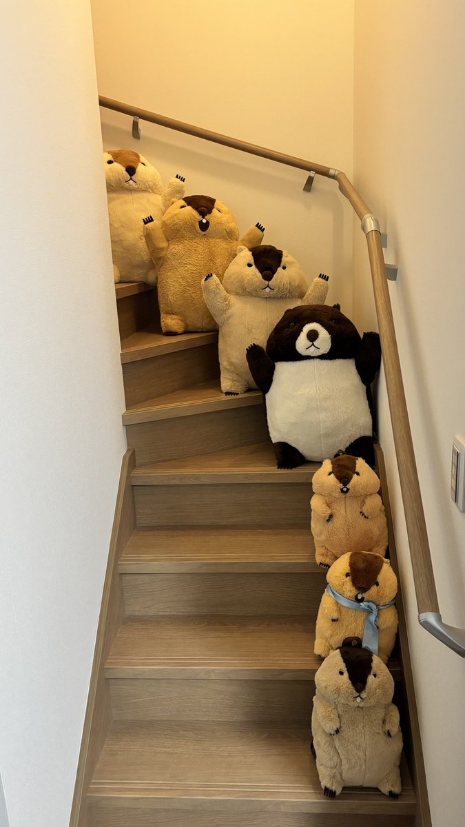 ksanha2026's tweet photo. 間違い探し🔍

#マーモットのもっとっと
#マーモットのもっとっと広場 https://t.co/didgUlQuLU