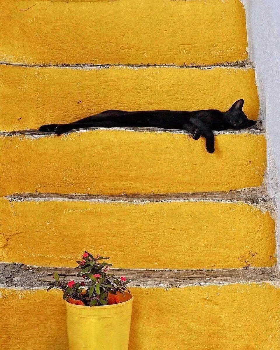 artenpedia's tweet photo. Katrin Manz - Slow Living (2023) https://t.co/lRkmOrvYuu