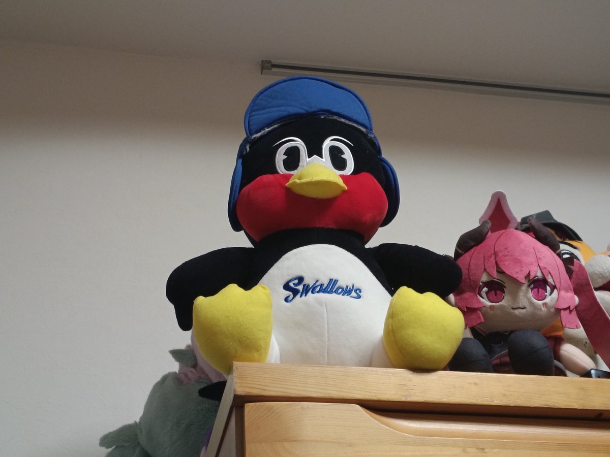 Kicn_g2's tweet photo. ご飯食べながらジュンコに見下されるのも悪くなかね https://t.co/4e05yF7YMK