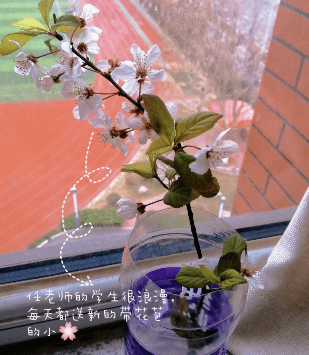rika_rika829's tweet photo. [夢仍焙さんと過ごした季節は、今も心の中で輝いてる]， https://t.co/CokzvDMkT9