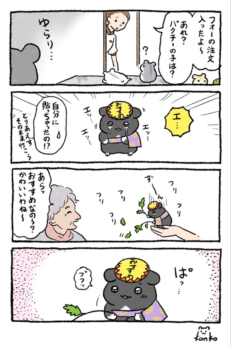 kanko86love's tweet photo. 褒められて嬉しいおすすめハムスター🌿 https://t.co/109NHY02T6