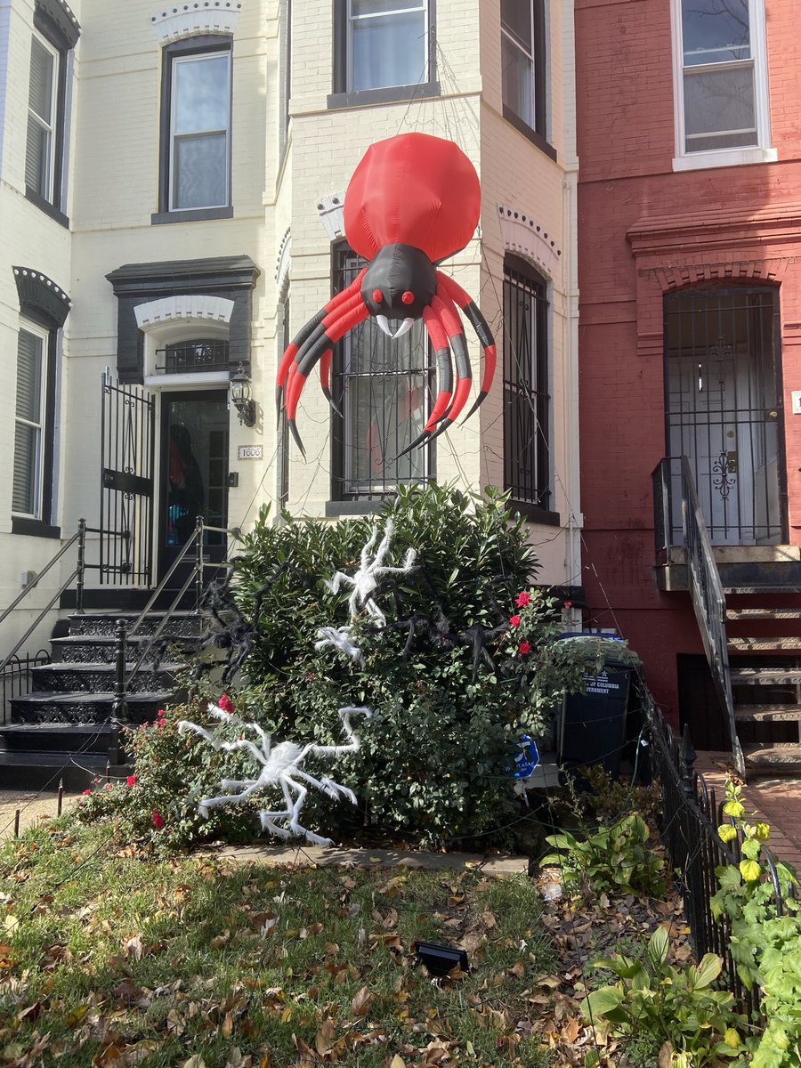 KevinCataldoDC's tweet photo. This is DC! #Statehood #51stState https://t.co/kJbxFlICTT