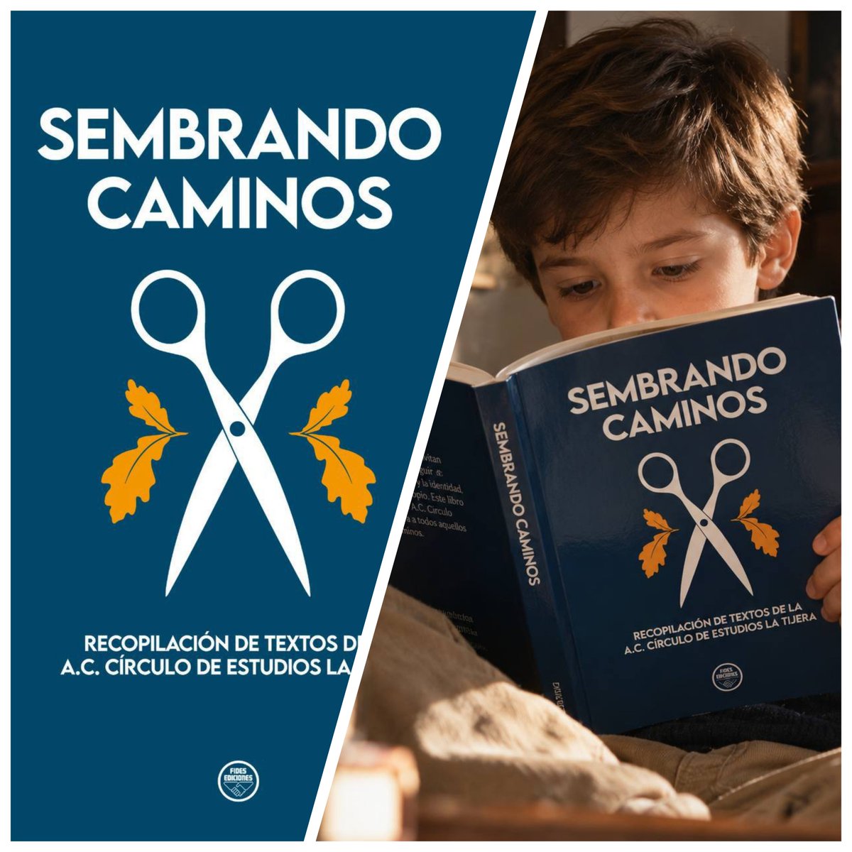 CirculolaTijera's tweet photo. 📖‼️ NOVEDAD EDITORIAL | SEMBRANDO CAMINOS

«Sembrando Caminos: Recopilación de Textos de la A.C. Círculo de Estudios La Tijera», una selección de nuestros textos más disidentes y vigorizantes del espíritu.

Escritos a lo largo de estos años por militantes, sus páginas son testimonio de una misma voluntad: sembrar ideas, despertar conciencias y abrir caminos para los que cogerán la antorcha. Porque toda obra que aspira a perdurar trasciende su tiempo y siembra la semilla de un nuevo amanecer.

🏷️ PVP: 15,00 €
📨 Contacta para adquirirlo:
Mensaje directo o al correo celatijera@yahoo.com

⚡️ C.E.T. — Cultura disidente