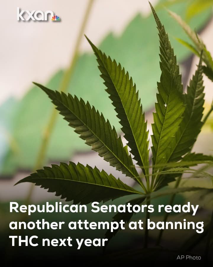 Norstackk's tweet photo. :>}_~#WakeNBake #StonerFam #StonerCircle #StonerNation #IAmCannabis #WeAreCannabis #FuckCancer #StayWoke &amp; ALL #STONERS ~HappyMonDazed~ https://t.co/2lKoLaEbQw