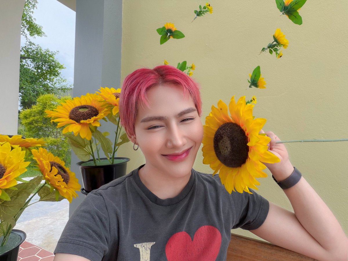 Hypychie's tweet photo. ฉันชอบดอกทานตะวันมาก 🌻 https://t.co/UNYaLy2q1L