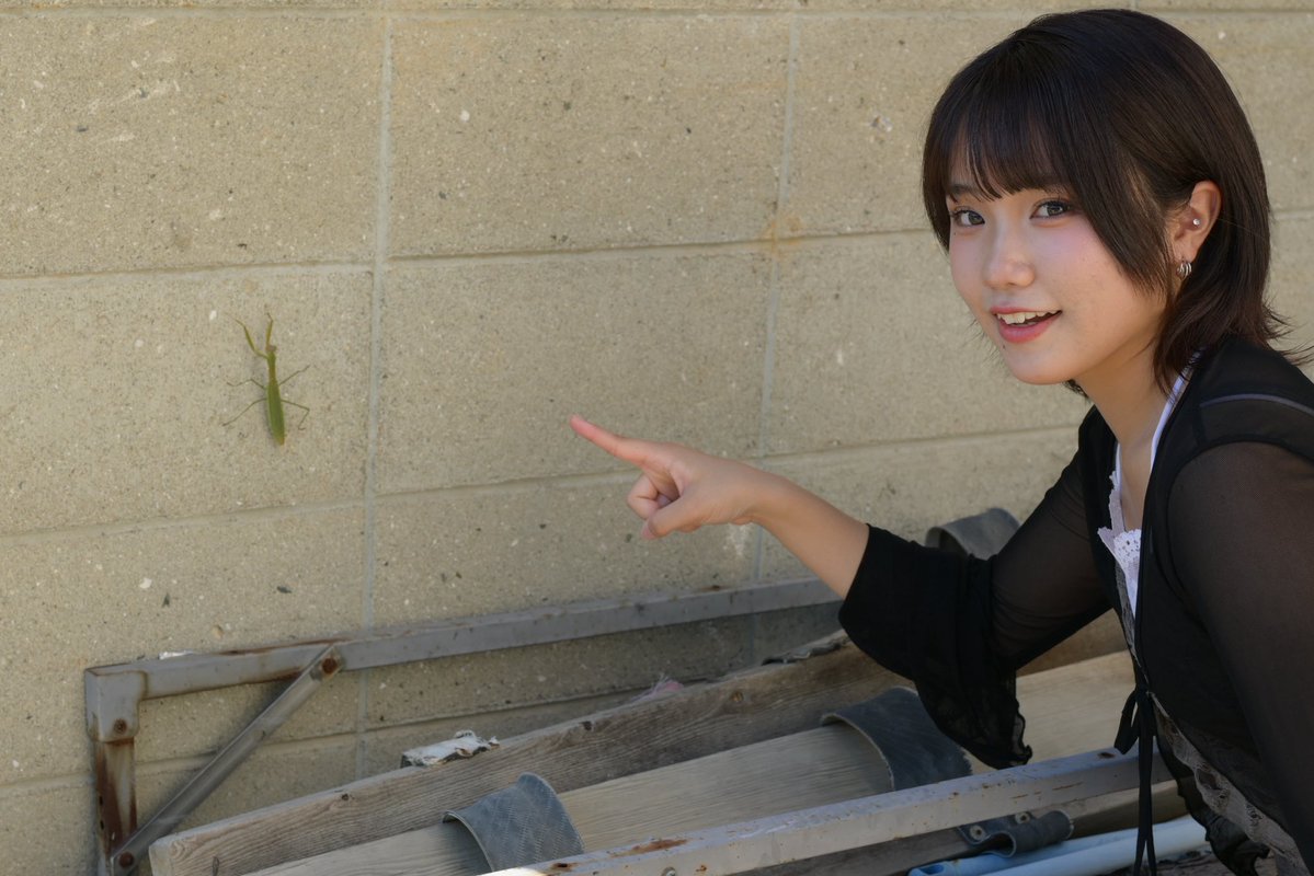 love100212's tweet photo. でっかいカマキリを見つけて大興奮💗
「カマゾノかまぞう」？と命名ww
ももちゃんらしくていいね😂
#ももか https://t.co/e2XNMtw7J4