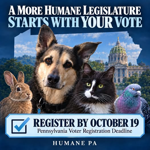 HumanePA's tweet photo. DEADLINE: A more humane legislature starts with YOUR vote! TODAY is the last day to register to vote in Pennsylvania. Register online by 11:59 p.m. https://t.co/al2WYEoJpD https://t.co/nkyhjicYPP