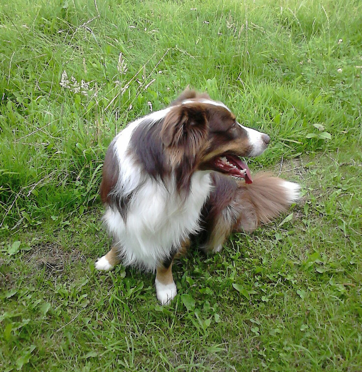 Dexter06082013's tweet photo. 2015... https://t.co/d8qIeBx67E
