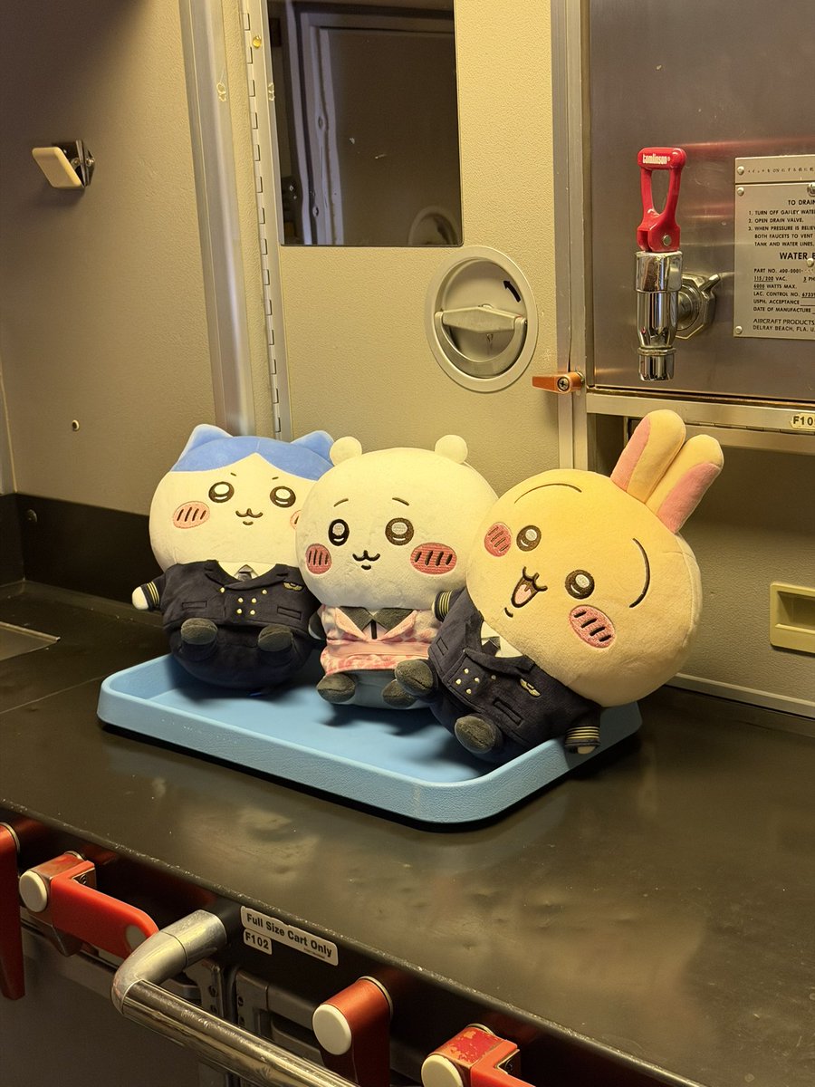 GingamaEf510's tweet photo. ちいかわジェット初フライト乗ってきた！
フライト中もCAさんが抱き抱えて
連れてきてくれて一緒に飛んでるなって
感じた笑
お見送りまでしてもらえて感無量です！
また、乗りたいなぁ〜
#ちいかわジェット
#ちいかわ
#ハチワレ
#うさぎ
#ちいかわジェット就航記念
#ANA
#JA609A https://t.co/8iF3EdNCOh
