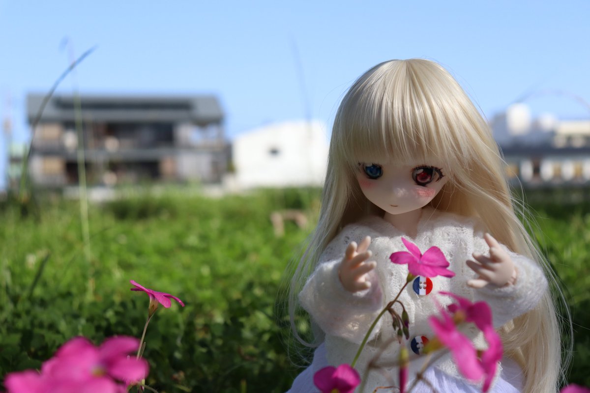 ria_noia's tweet photo. #見た人はお花と写ったドール写真をアップする https://t.co/fg6ESujAbR