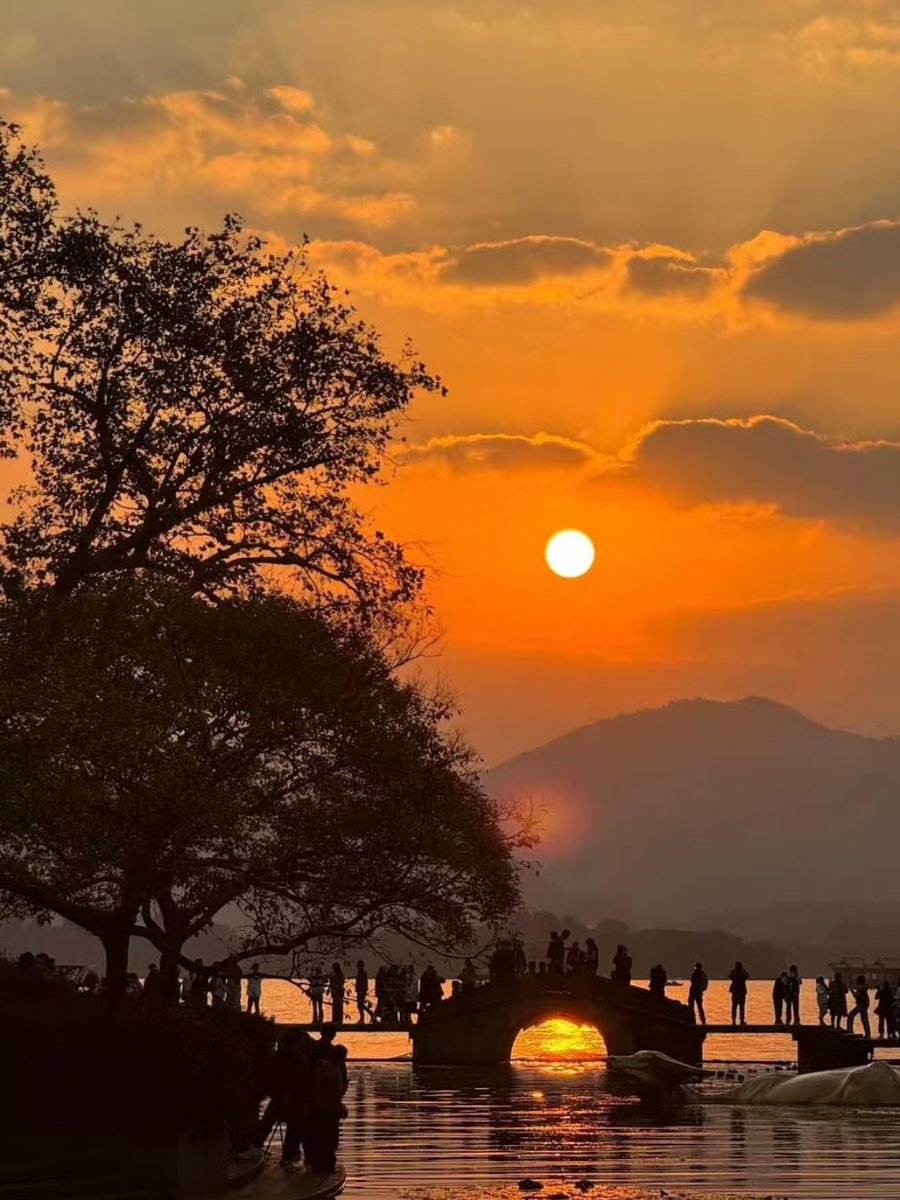 shangbo4's tweet photo. 夕暮れが空に黄金の海を作り、夕陽の光が地面にほとばしるように降り注いで、まるで絵になる景色だ。この瞬間を切り取ってみた。 https://t.co/uwB66PtivX