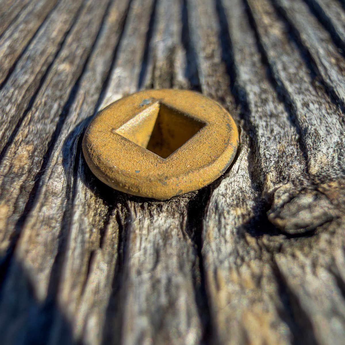 hellosaurav's tweet photo. Weathered wood and a square peg in a round world.
#TextureTuesday #WabiSabi #MacroPhotography #DetailsMatter #RusticVibes #SquarePeg #iphone18promax #sauravphoto https://t.co/c0sAZmUBpA