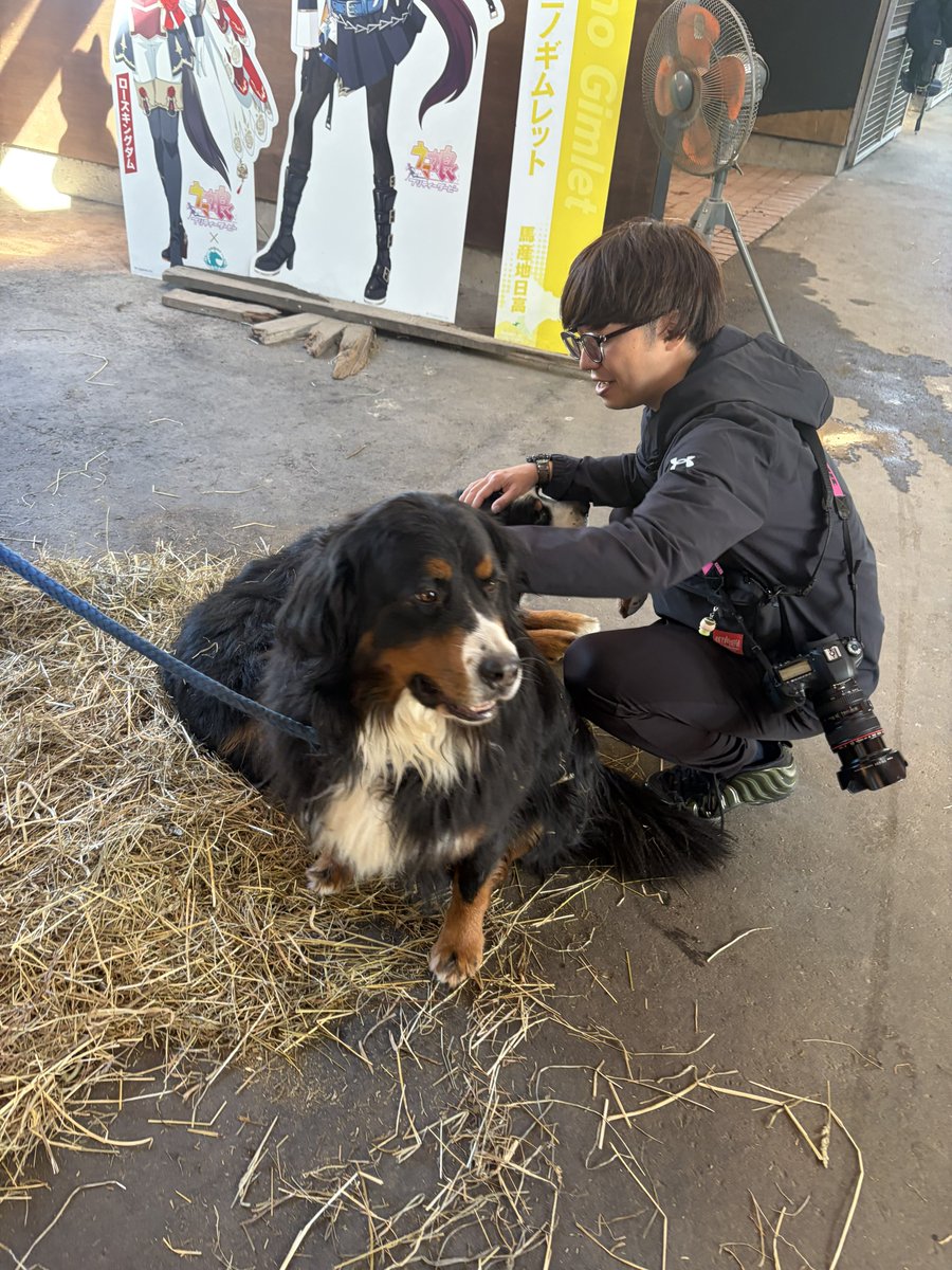 ___memen___'s tweet photo. 北海道牧場巡り2nd終わってただただ幸せでした。ラニもギム爺会えたしバーニーズも可愛かった😭😭 https://t.co/lZ1qkLsaxc