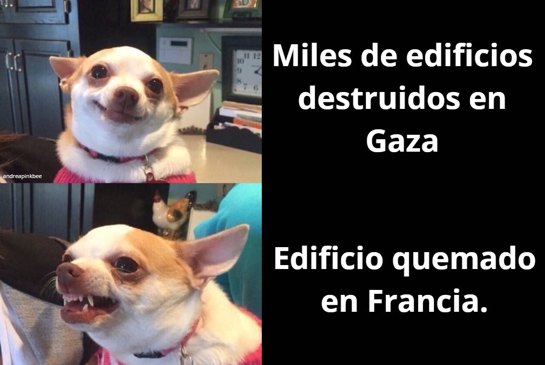 AndreaPinkbee's tweet photo. La derecha: https://t.co/NIdwAWgNHC