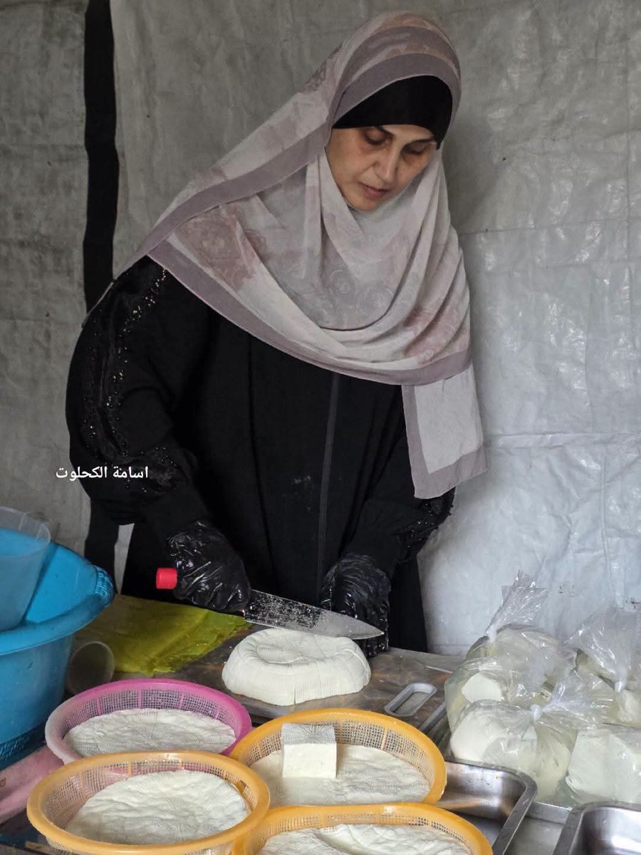 QudsNen's tweet photo. Hanaa al-Zabda, a widowed Palestinian mother, makes cheese at home to support 10 orphaned children from three families after losing her husband and son during Israel's onslaught on Gaza. She now provides for her three children and her seven orphaned nieces and nephews, whose parents were killed during the war.

📷 Osama Kahlout