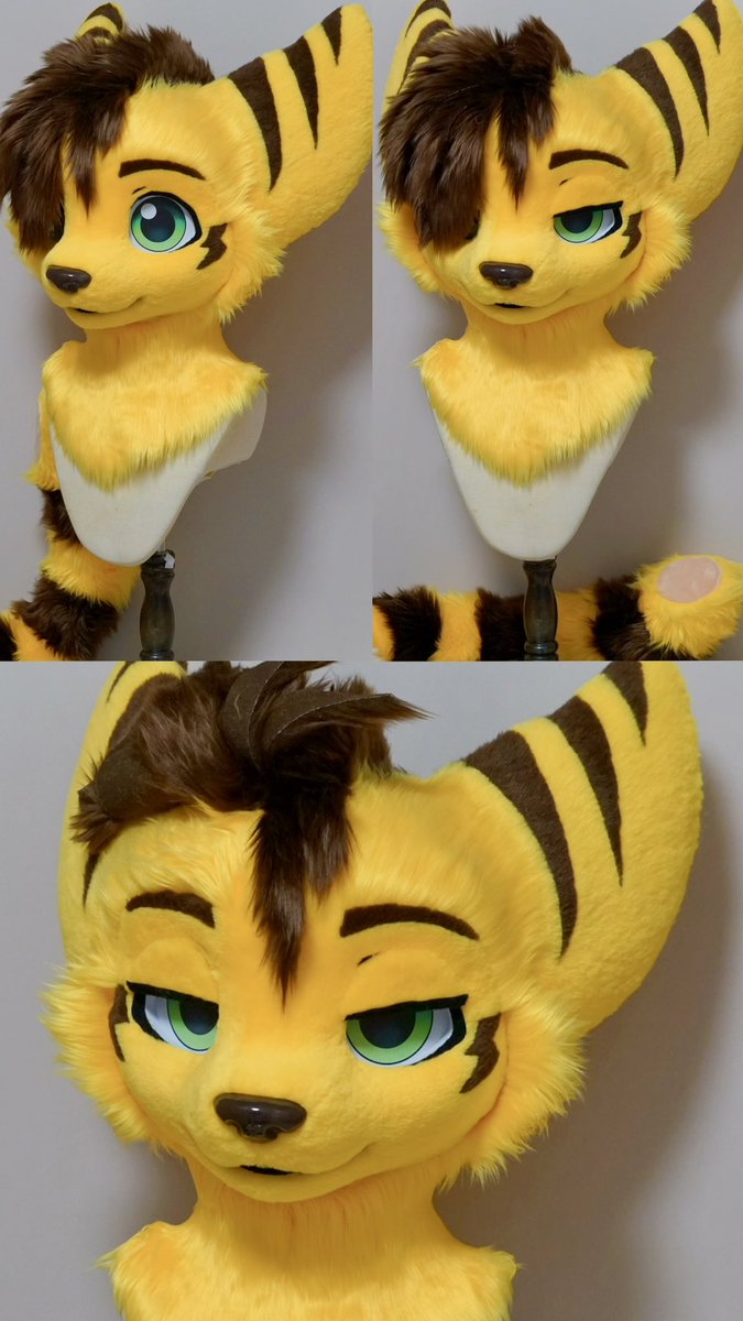ginkgo_dogg's tweet photo. Fursuit head &amp; tail showcase
Here’s another fresh Lombax!
Commission from @CreatureSTX 
Thanks for trusting me with this project!
#fursuit #fursuitcommission #fursuitmaking https://t.co/9QsE4FG3zW