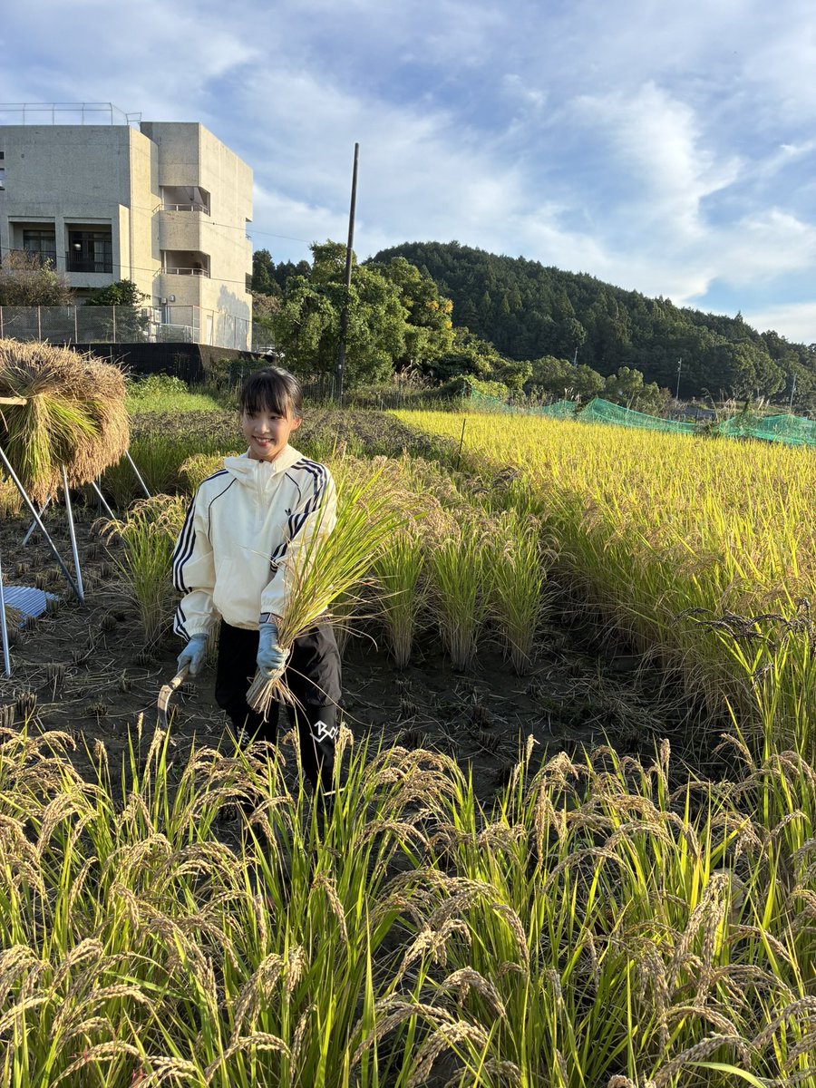 mineri_9_2_p's tweet photo. この前の稲刈り🌾
小学生ぶりで楽しかったー🙌🏼 https://t.co/IWZupPxh9I