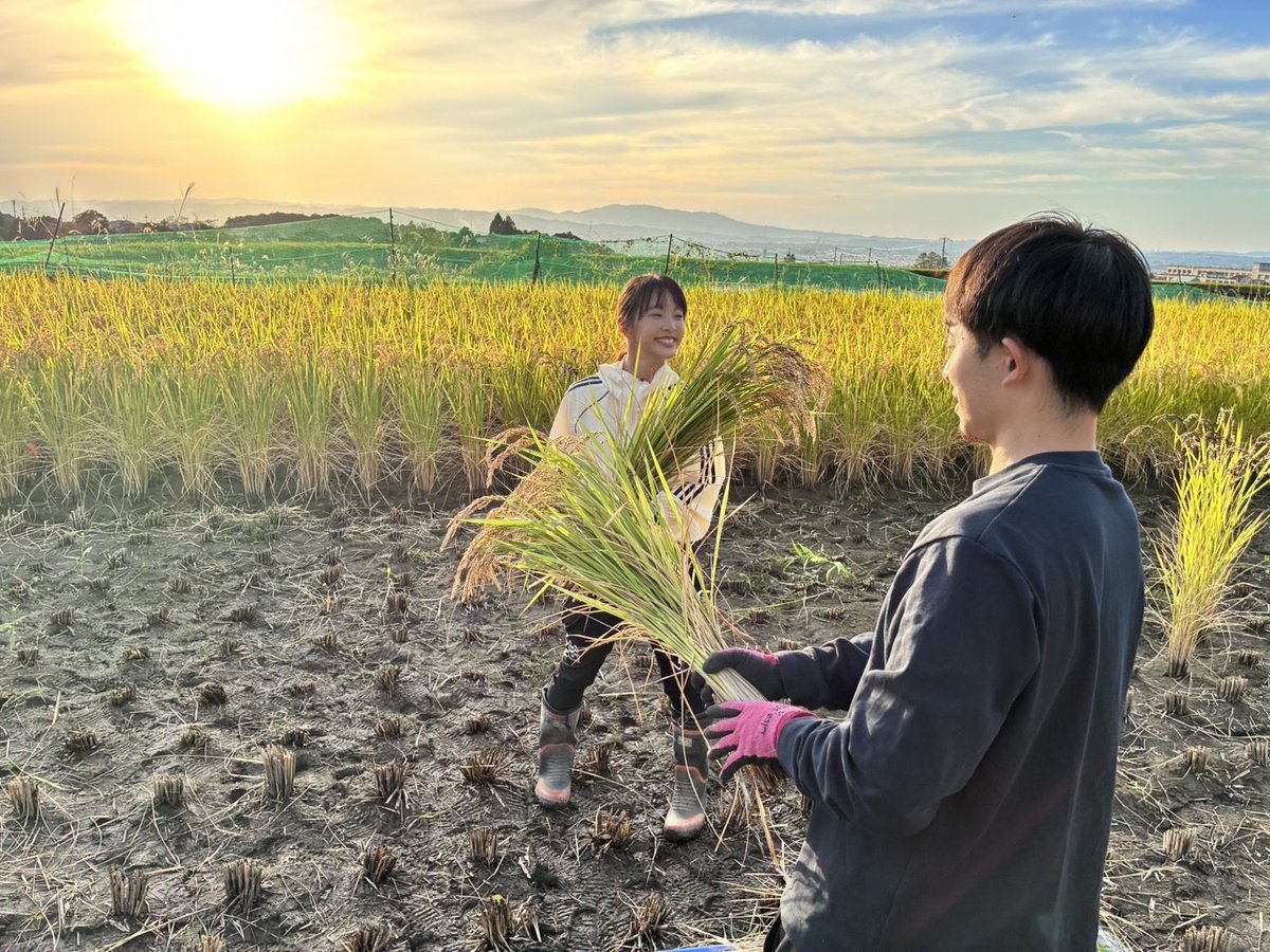 mineri_9_2_p's tweet photo. この前の稲刈り🌾
小学生ぶりで楽しかったー🙌🏼 https://t.co/IWZupPxh9I