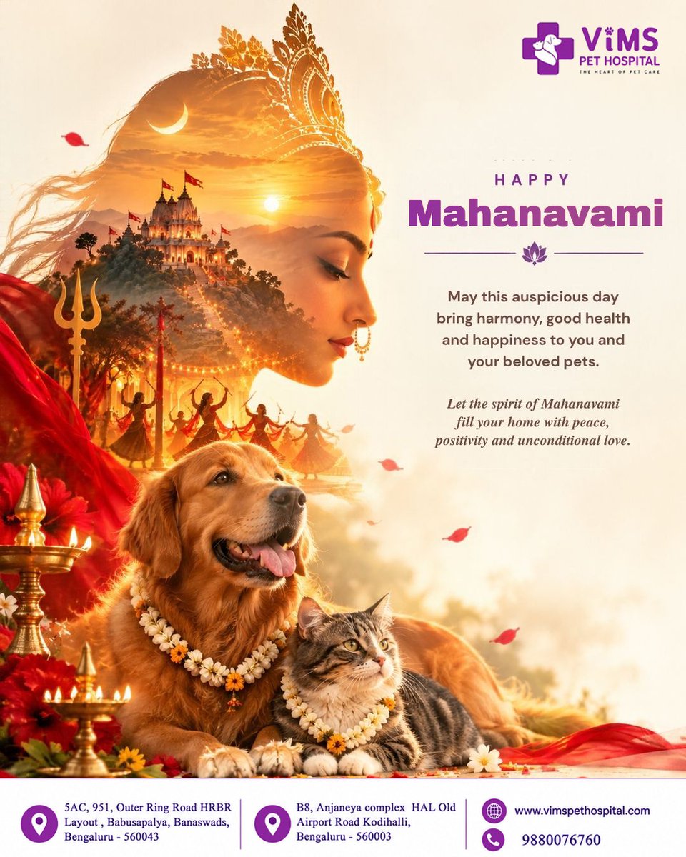vimspethospital's tweet photo. Wishing you and your beloved pets a Happy Mahanavami!

May this auspicious occasion bring peace, good health, happiness, and positivity to every home.

Warm wishes from VIMS Pet Hospital.

#HappyMahanavami #VIMSPetHospital #PetCare #FestivalWishes #bengaluru https://t.co/whJaEjuy0y