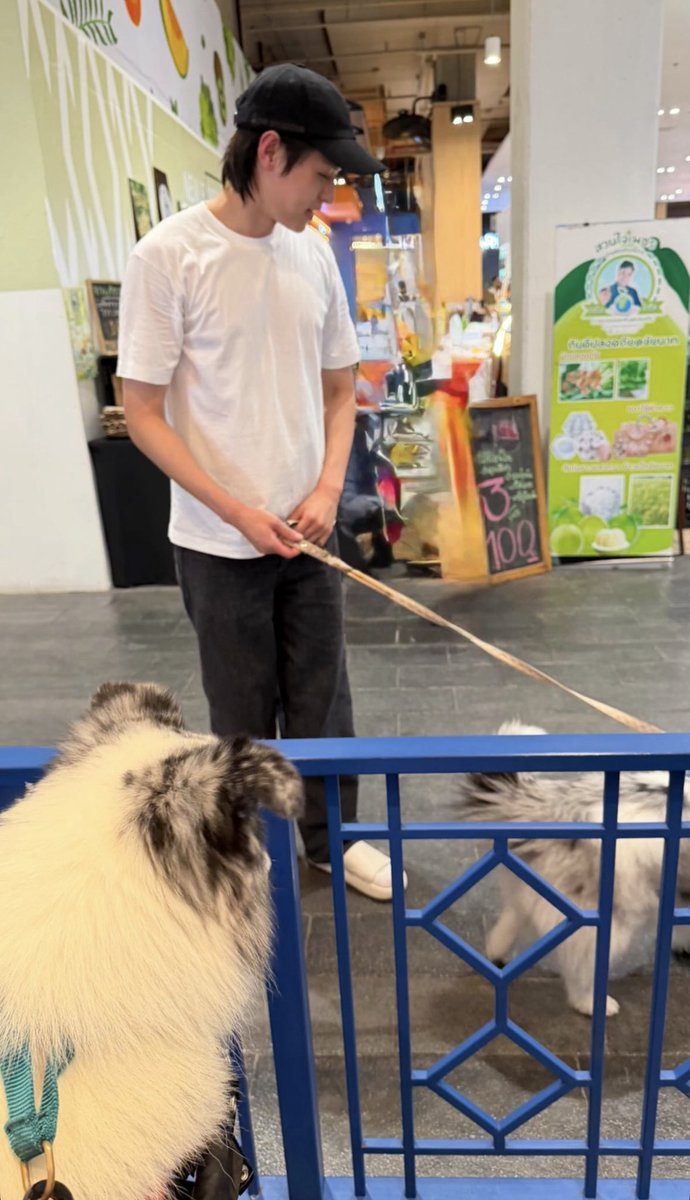 bewkeen's tweet photo. OH NOOOO, BILLKIN KISSING MARSHALL, A BORDEE COLLIE, SO CUTEEEE 😭😭😭 and then poor janet trying to run away HAHAHAH
#Bbillkin https://t.co/cLOjJXWO9s