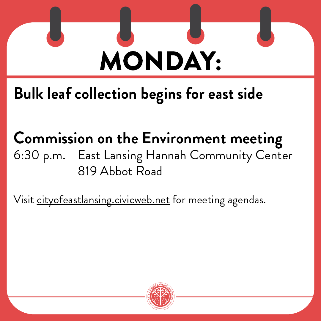 CityofEL's tweet photo. Meetings and events for the week of Oct. 19.

For meeting agendas, visit https://t.co/CaD4yxOsWU https://t.co/6eeIbhGndD