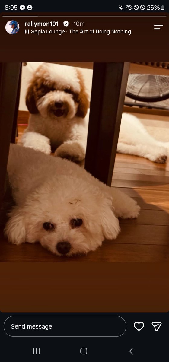 NatividadM36614's tweet photo. Credits to tito Mon, borji is w/ his kapafid and grannys. Borji di ka magvisit sa side ng dad mo hehehehe https://t.co/wzHfx89eco