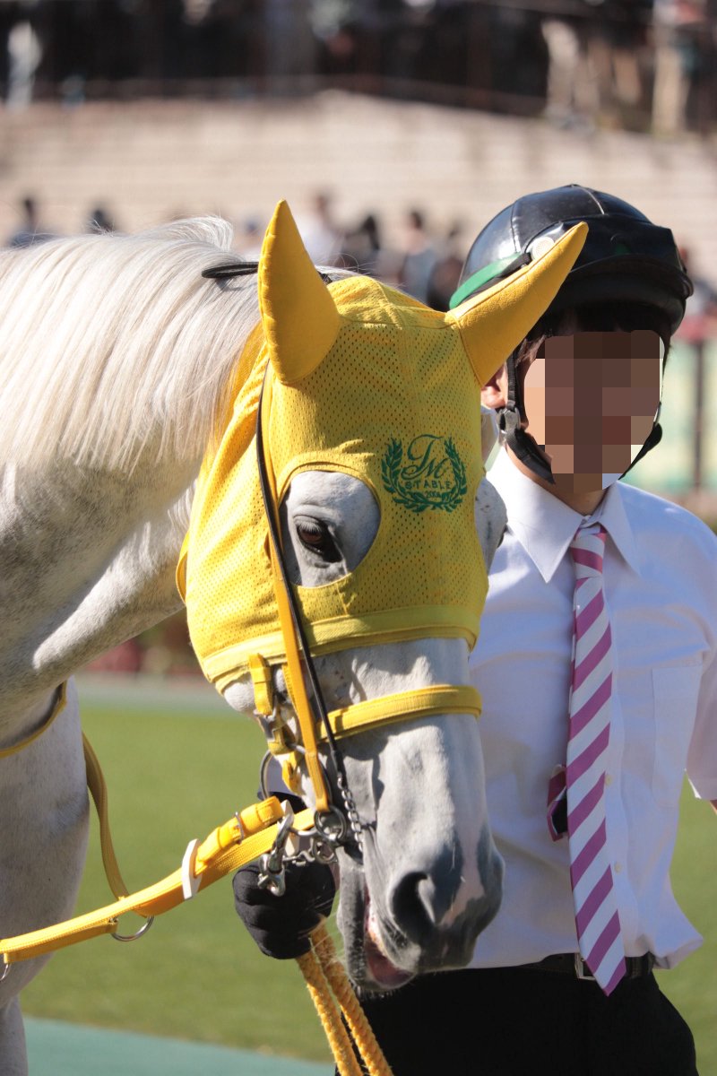 ohico_umauma's tweet photo. メサイアさん無事だったのでバラシますけど
パドック中ずっと下唇太鼓して遊んでました🥁

マイネルメサイア
#マイネルメサイア https://t.co/AaogXYlEuM