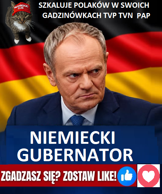 AdamJ96201's tweet photo. NIE BAĆ TUSKA https://t.co/g39t7ygBDd