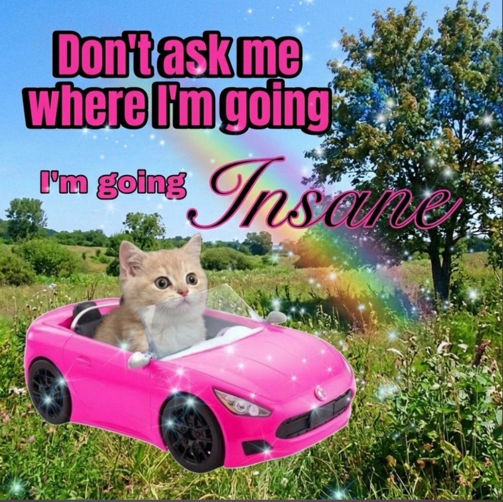 paradcxism tweet picture