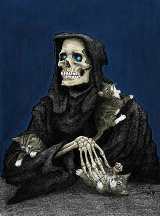 WispBitt's tweet photo. @Merryweatherey @RyuuXiiin @Merrydawg @69Michichi i love this Terry Pratchett Death approach, death does isnt the bad part, it how you lived and how you die that its the hard part, death its to get you to the next destination https://t.co/eol6PA8u8N