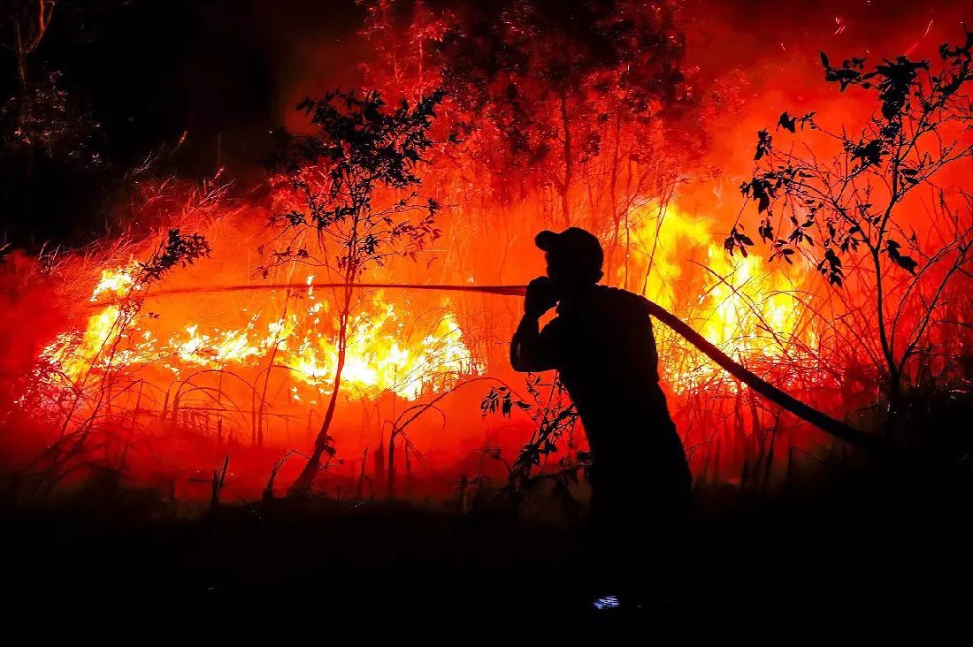 dblive15's tweet photo. इंडोनेशिया की आग से पड़ोसी देश भी परेशान

https://t.co/USr8AU5MyE

#dblive #indonesia #affectedbyfires https://t.co/RwMGJHJPLP